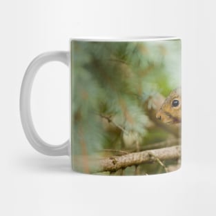 Grey Squirrel Mug